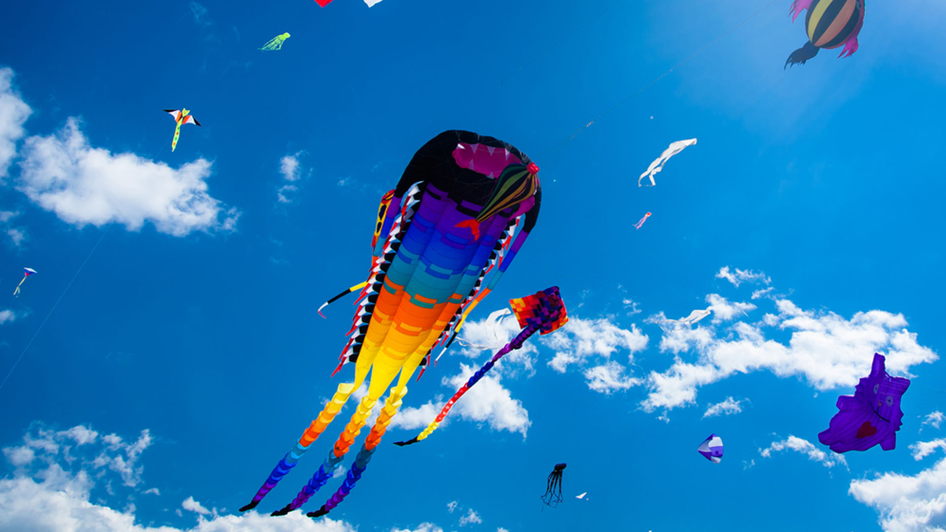 Kites Festival Colorful kites on Danang Beach Official Danang