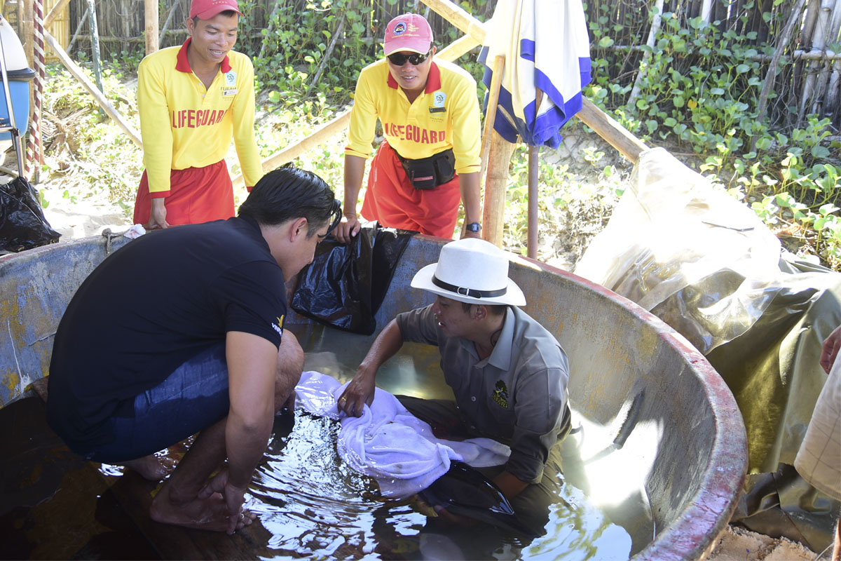FURAMA Resort DANANG nhận nuôi cá heo bị lâm nạng