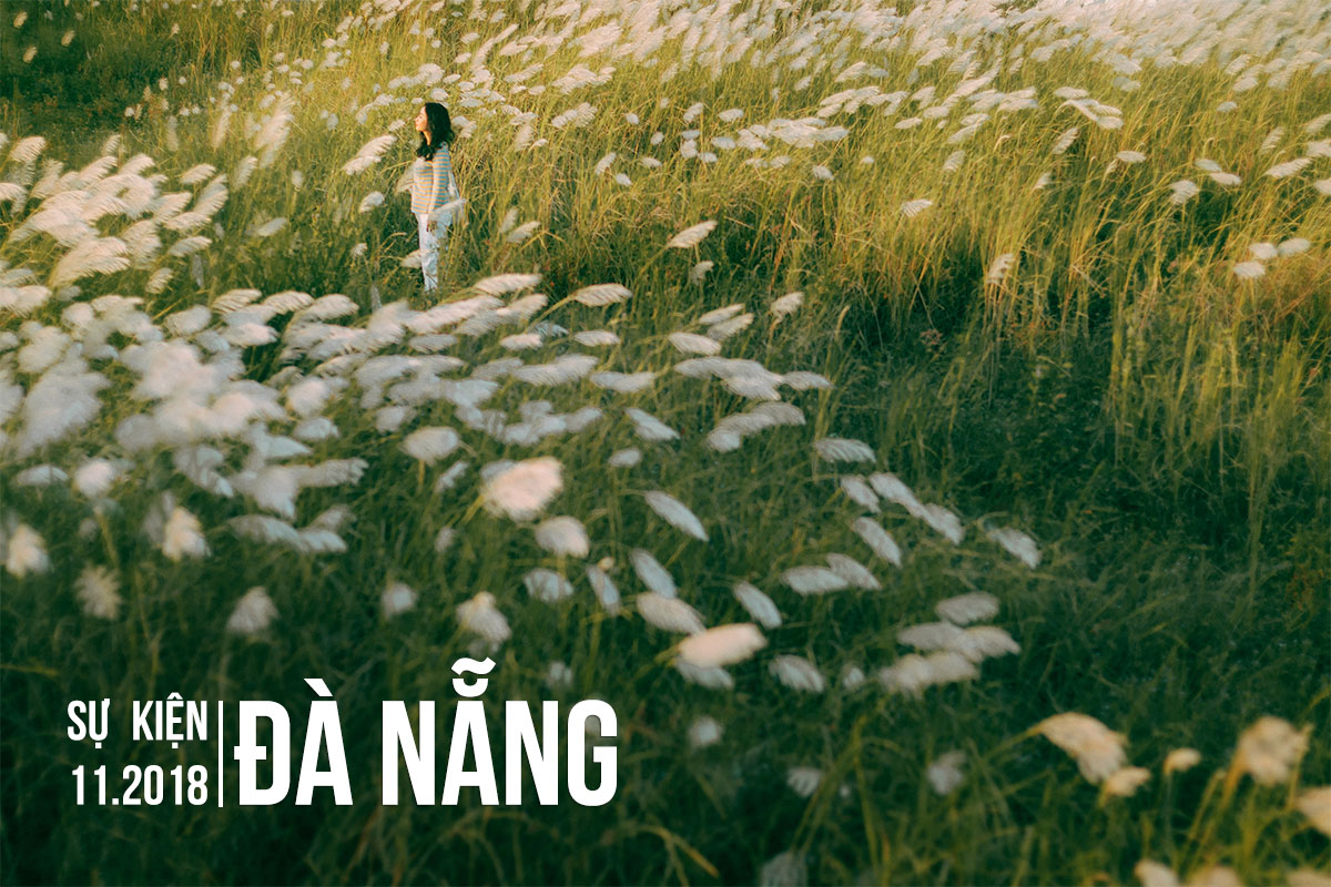 Sự kiện Đà Nẵng tháng 11.2018