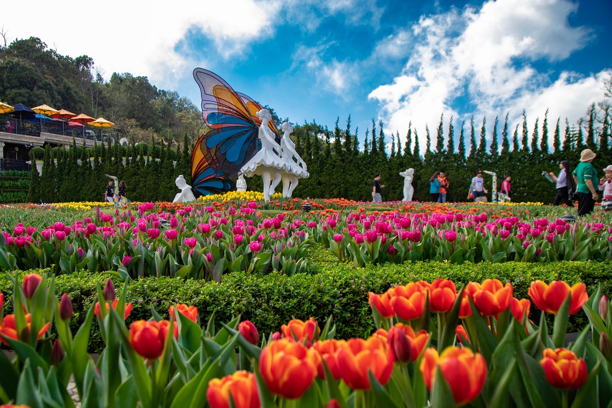 The Vietnam biggest Tulip Festival at Sun World Ba Na Hills - Official  Danang Tourism Website