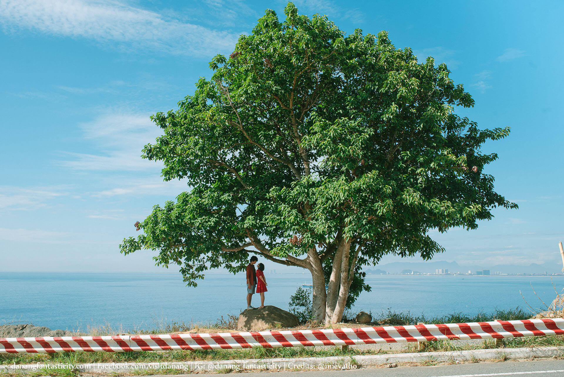 Da Nang Hoi An Anh Cho Minh Tren Chiec Xe Giac Mo Mievatho Danang Fantasticity Com Ban Dao Son Tra 07