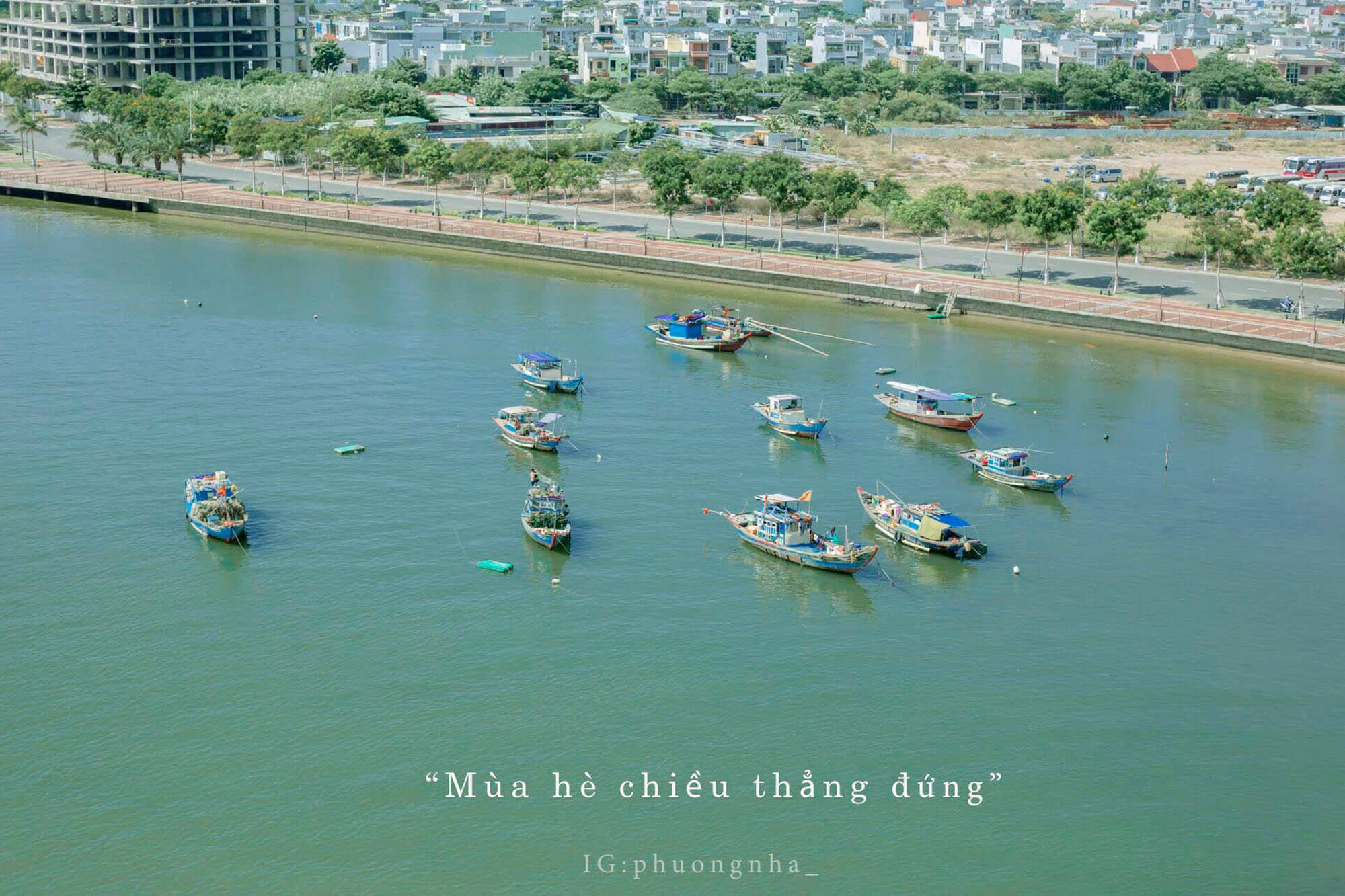 Cau Thuan Phuoc Review Da Nang Hue Hoi An 5n4d Chuyen Di Thanh Xuan Cua Nhom Ba Con Ca Duoi