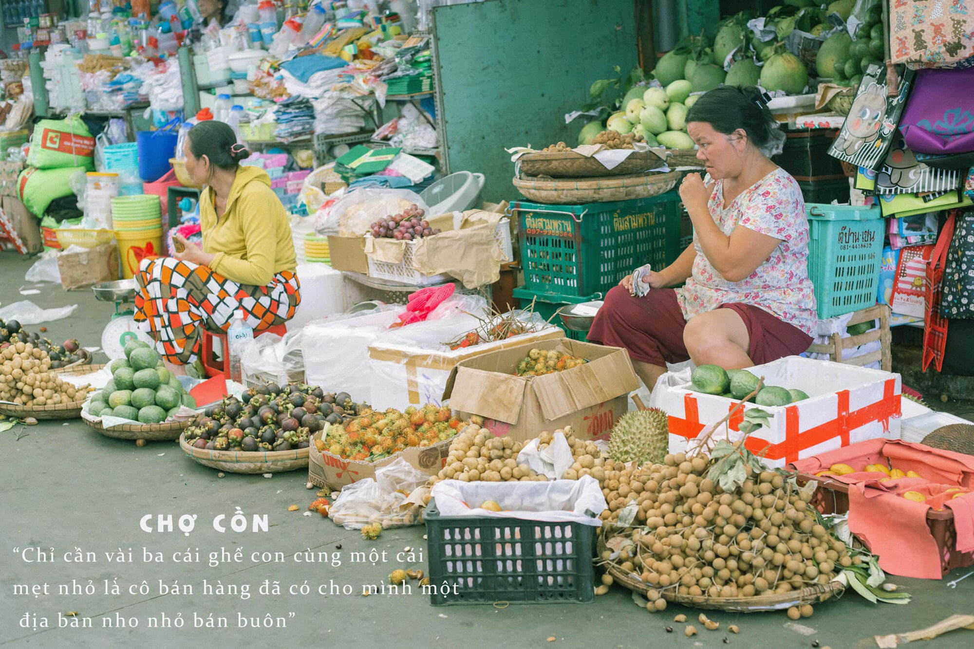 Review Da Nang Hue Hoi An 5n4d Chuyen Di Thanh Xuan Cua Nhom Ba Con Ca Duoi Cho Con