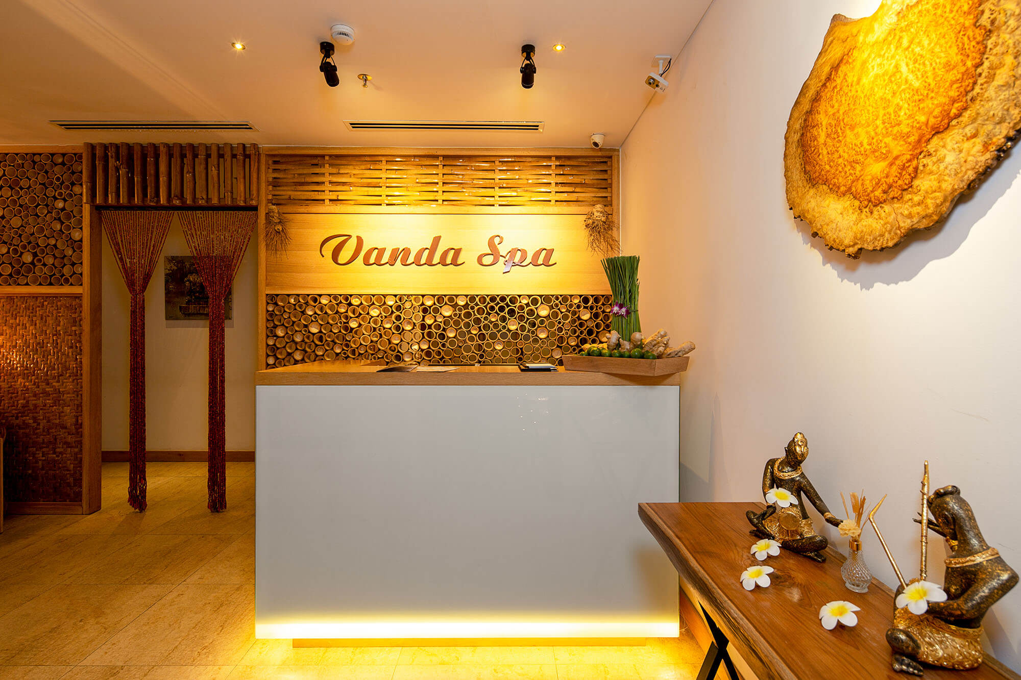Vanda Spa Mot Thoang Siam Giua Long Da Nang Fantasticity Com 02