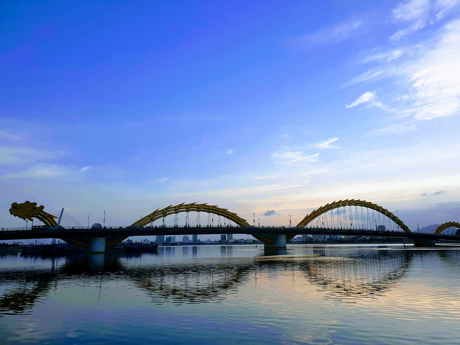 Da Nang Mot Phan Mau Thit Trong Toi 02