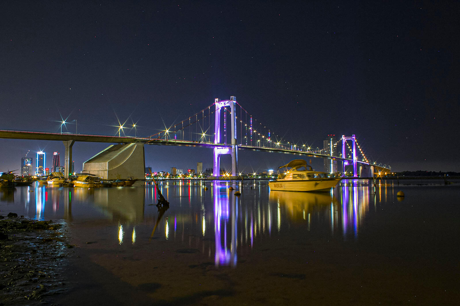 Da Nang Thanh Pho Cua Nhung Cay Cau 010