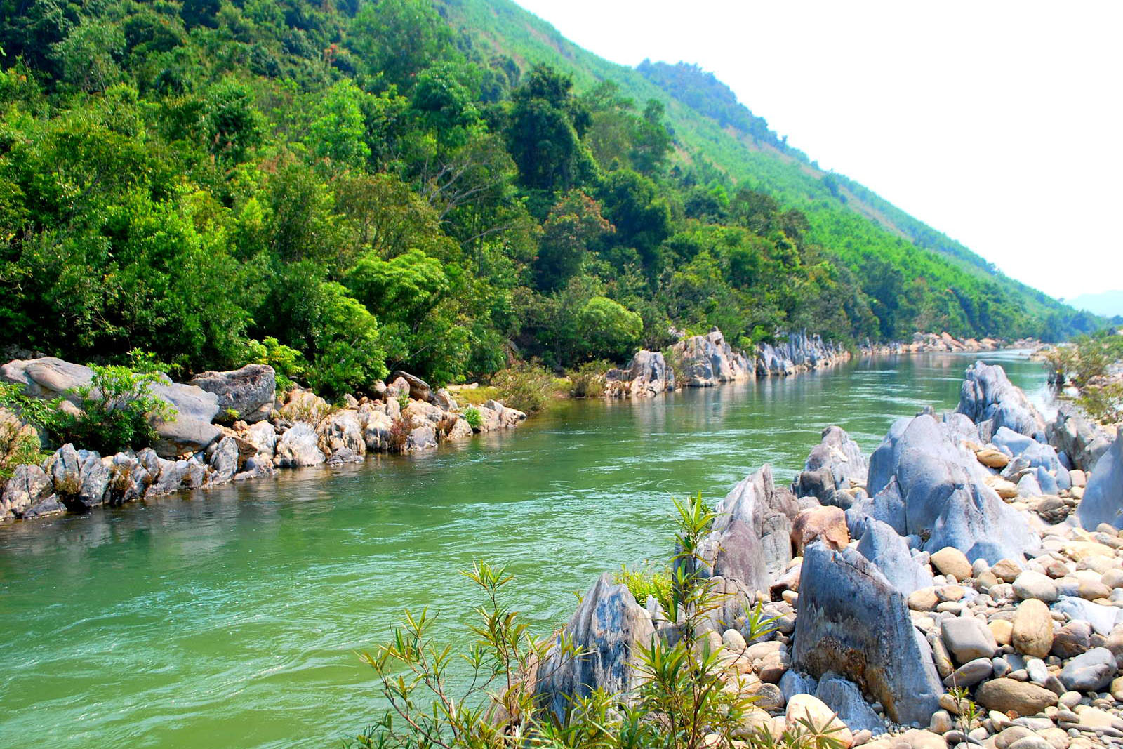 Ve Da Nang Thuong Thuc Am Thuc Cua Nguoi Co Tu 01