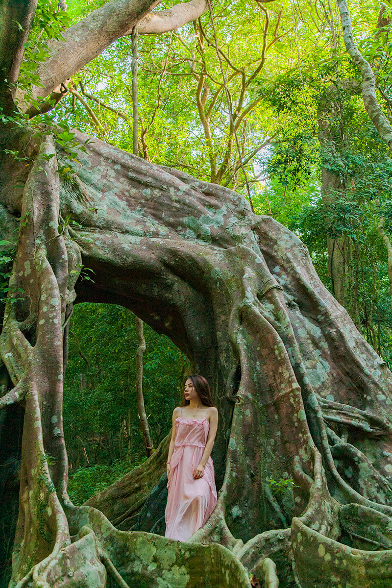 Chia se dia diem du lich an tuong tai Da Nang