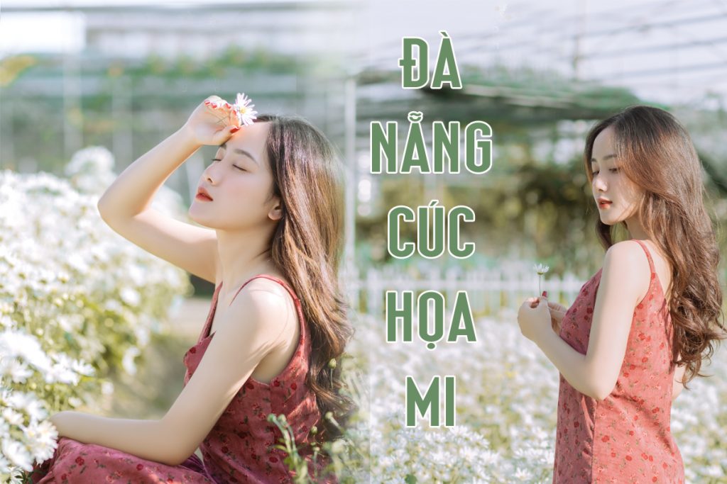 Anh Dai Dien