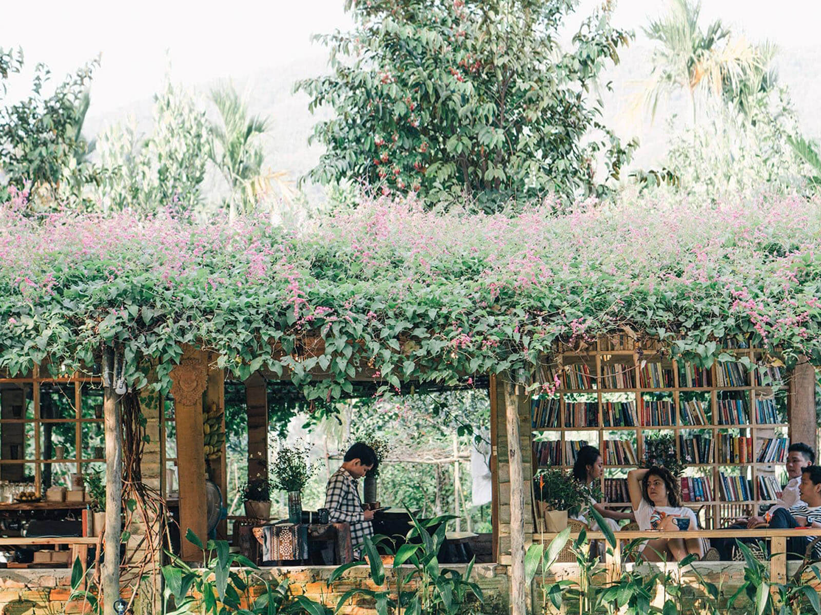 An Nhien Farm Den Da Nang Check In Di Cho Chi 3