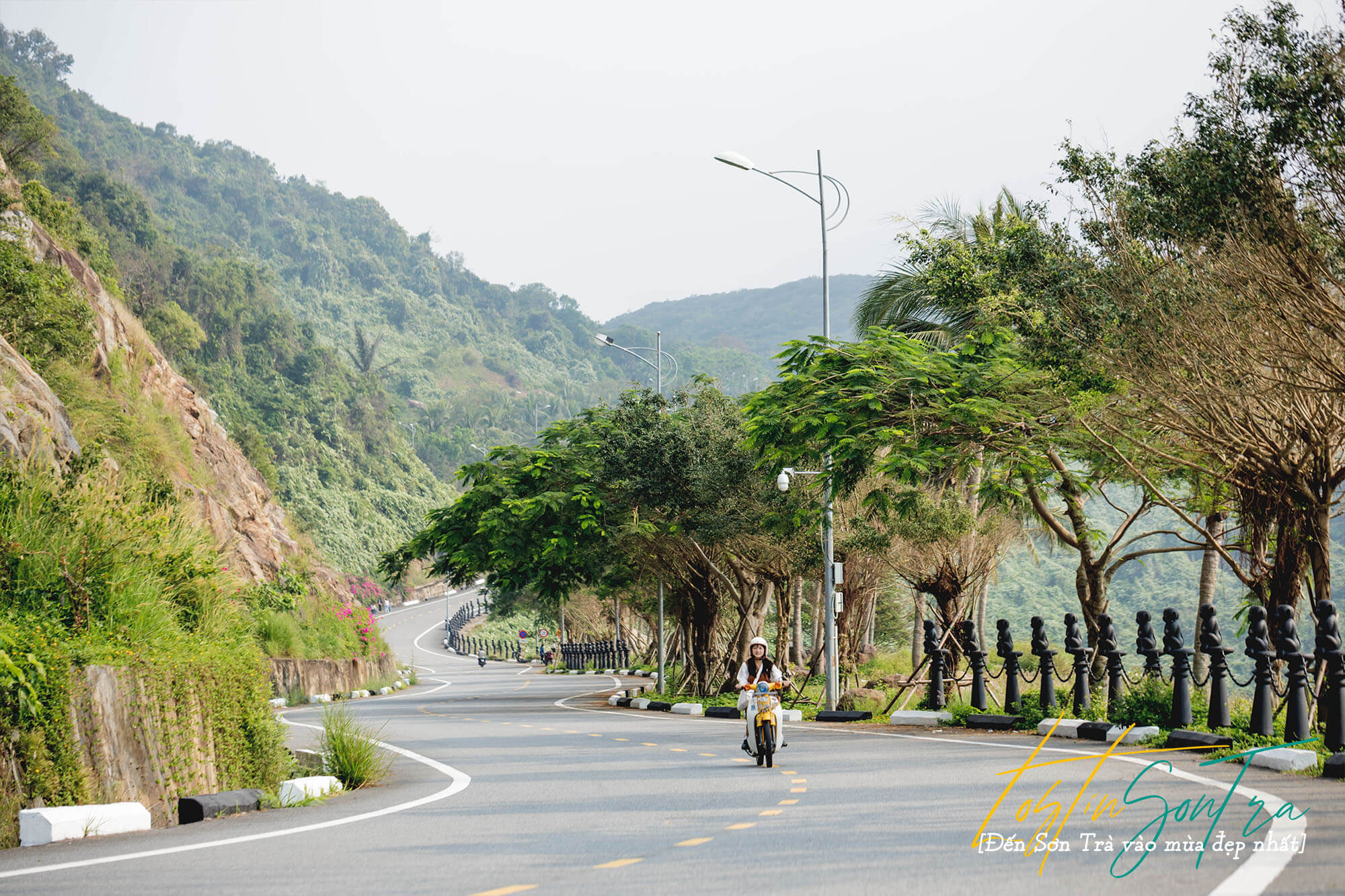 Ban Dao Son Tra Da Nang Mua Nao Dep Nhat4