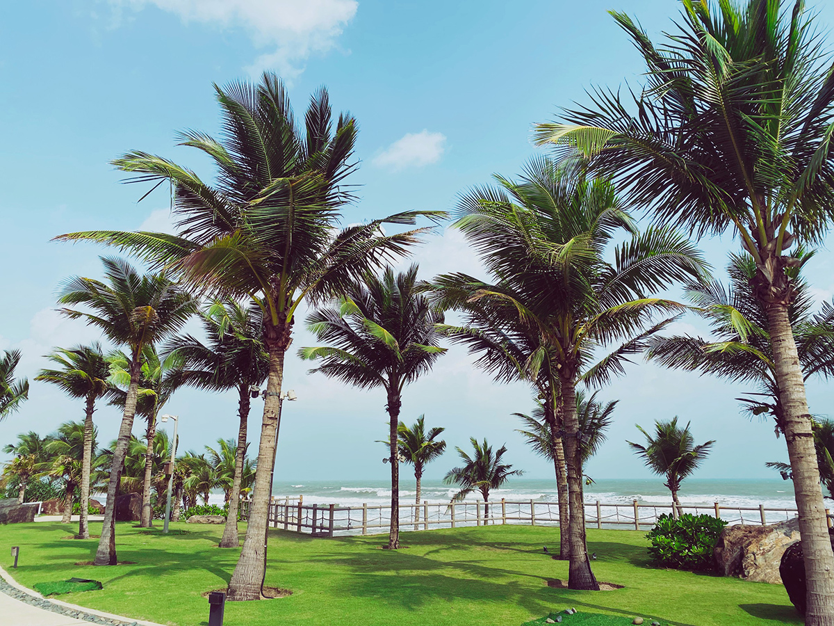 Don Tet Sum Vay Ca Nam Sung Tuc Cung Citadines Pearl Hoi An 05