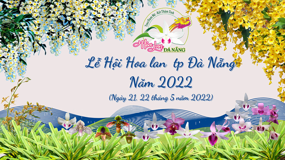 Le Hoi Hoa Lan Thanh Pho Da Nang 2022