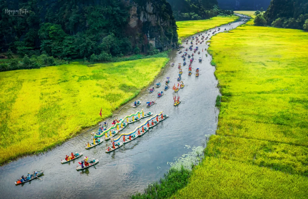 Sắc vàng Tam Cốc – Tràng An năm 2022