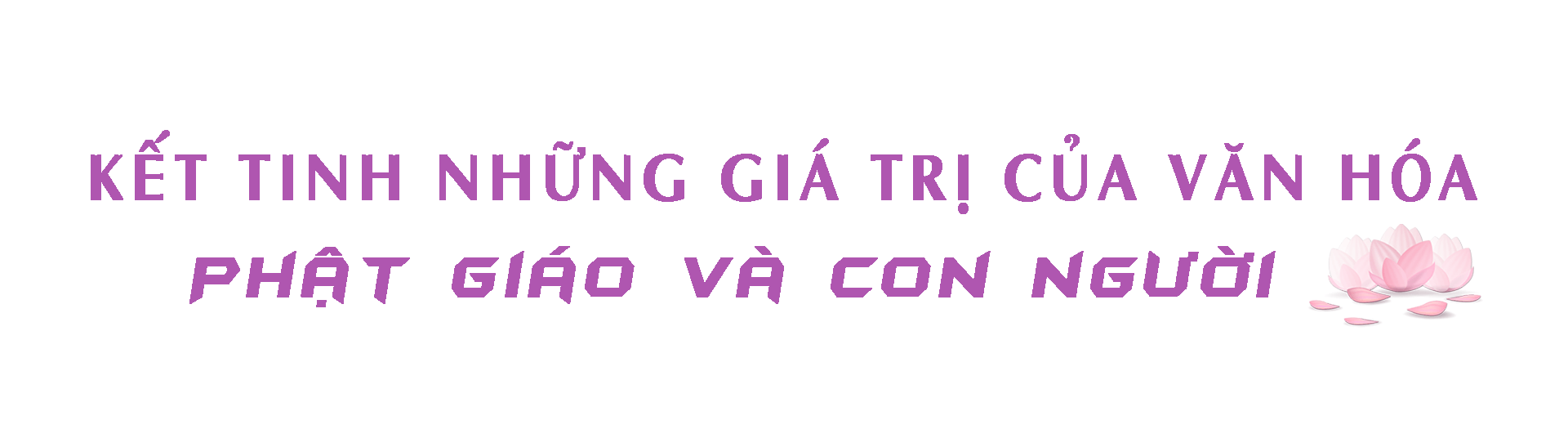 An Tuong Tu Mot Le Hoi Van Hoa Tam Linh Mang Dam Tinh Nhan Van 1