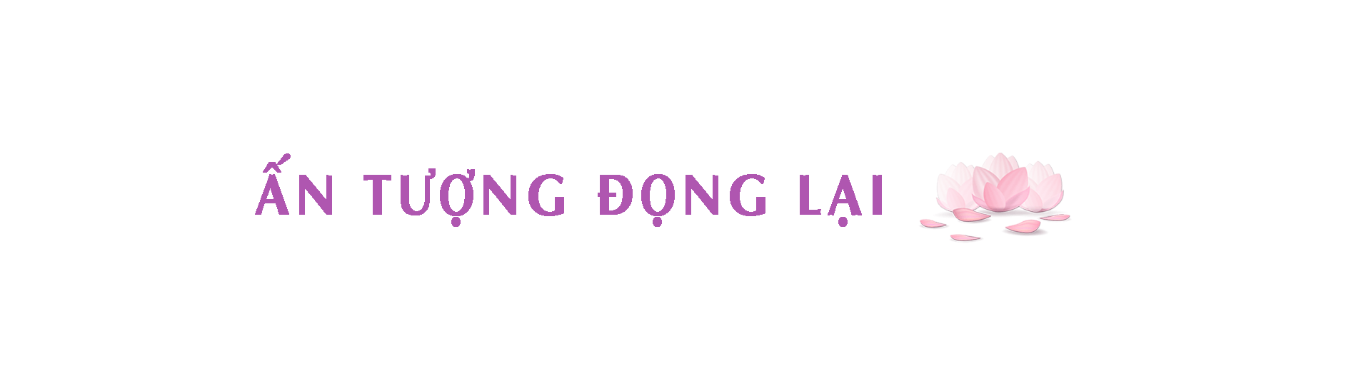 An Tuong Tu Mot Le Hoi Van Hoa Tam Linh Mang Dam Tinh Nhan Van 7