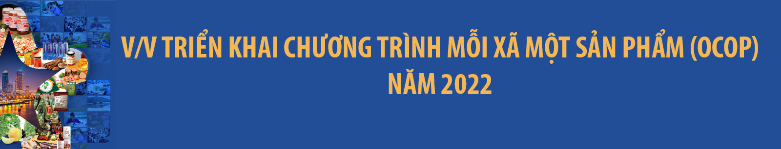 Cac Van Ban Lien Quan Chuong Trinh Ocop Tren Dia Ban Thanh Pho Da Nang 01