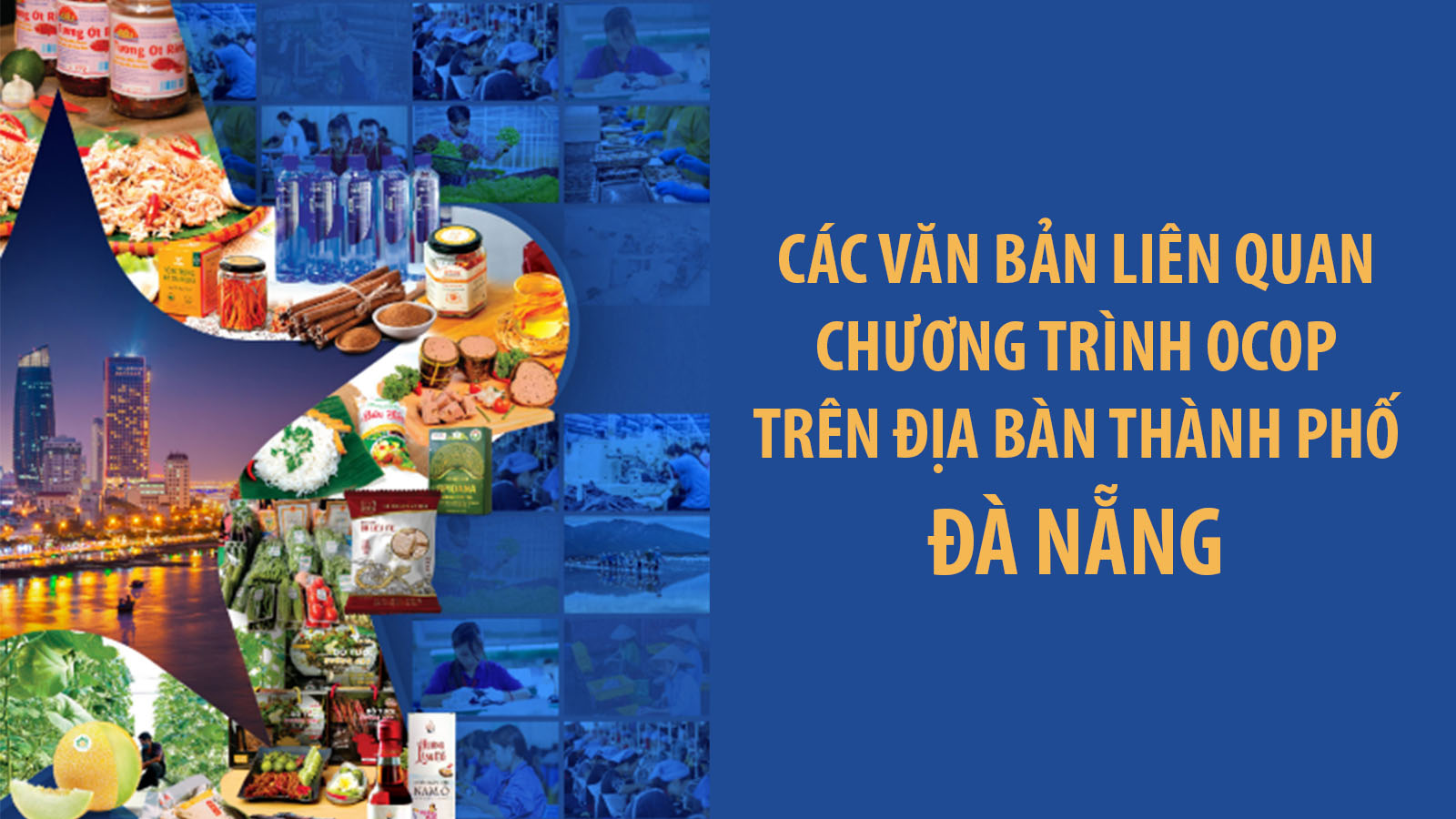 Cac Van Ban Lien Quan Chuong Trinh Ocop Tren Dia Ban Thanh Pho Da Nang 02