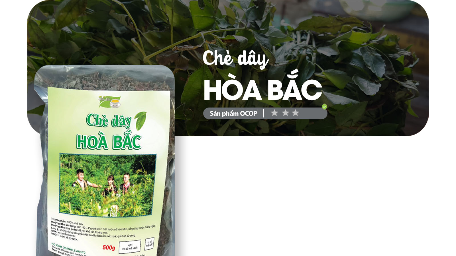 Chè Dây Hòa Bắc – Sản Phẩm OCOP Đà Nẵng