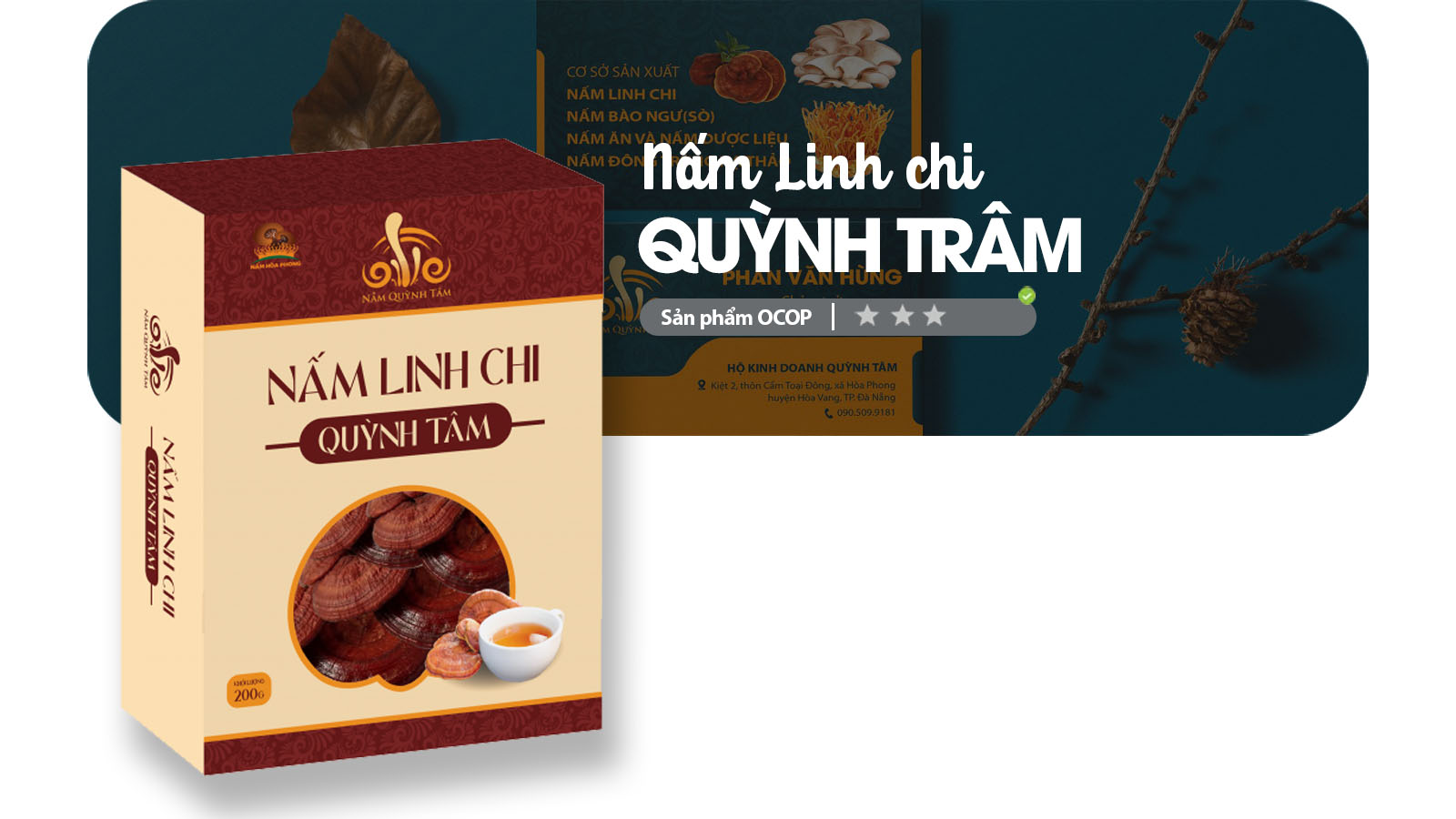 Nấm Linh chi Quỳnh Tâm – Sản Phẩm OCOP Đà Nẵng