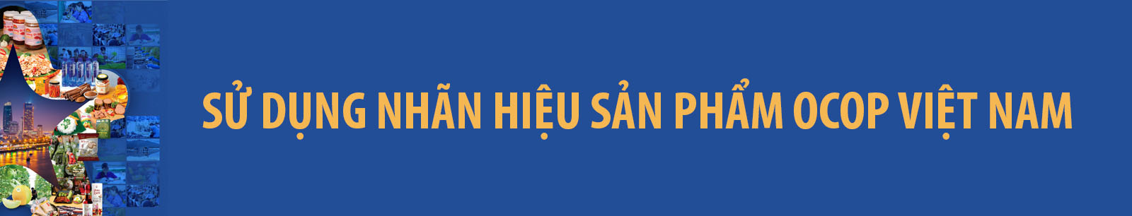 Quy Trinh Danh Gia Phan Hang San Pham Ocop Da Nang 06