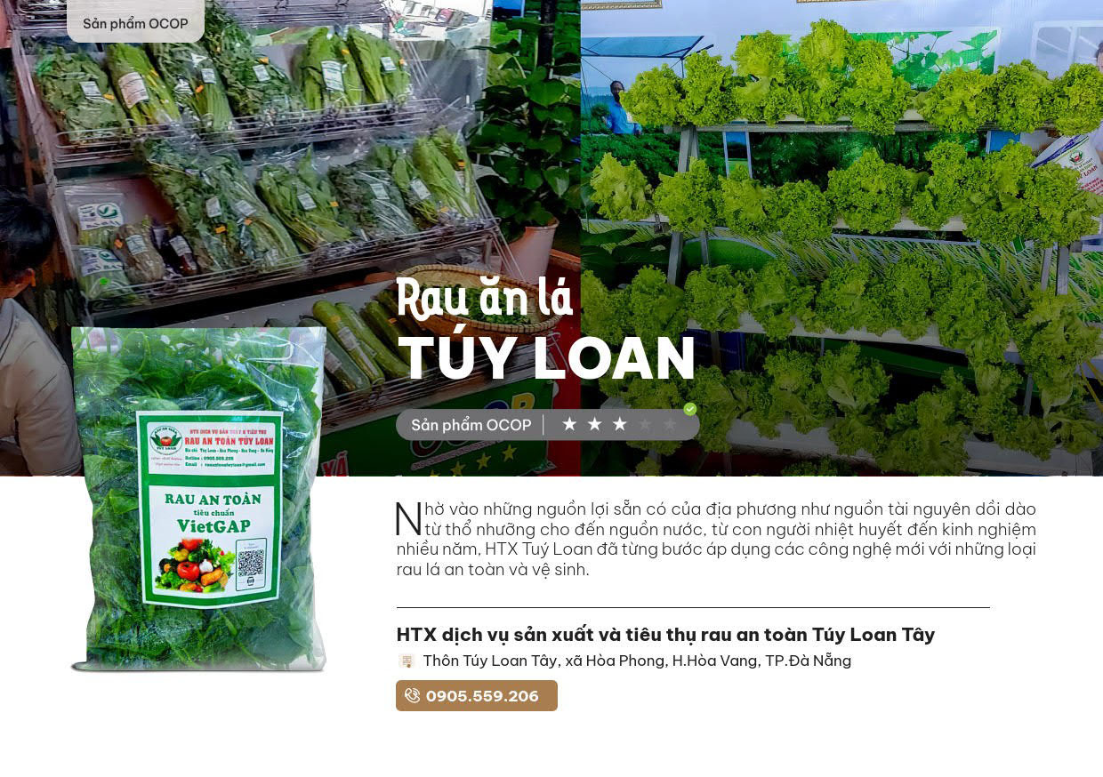 Rau An La Tuy Loan San Pham Ocop Da Nang