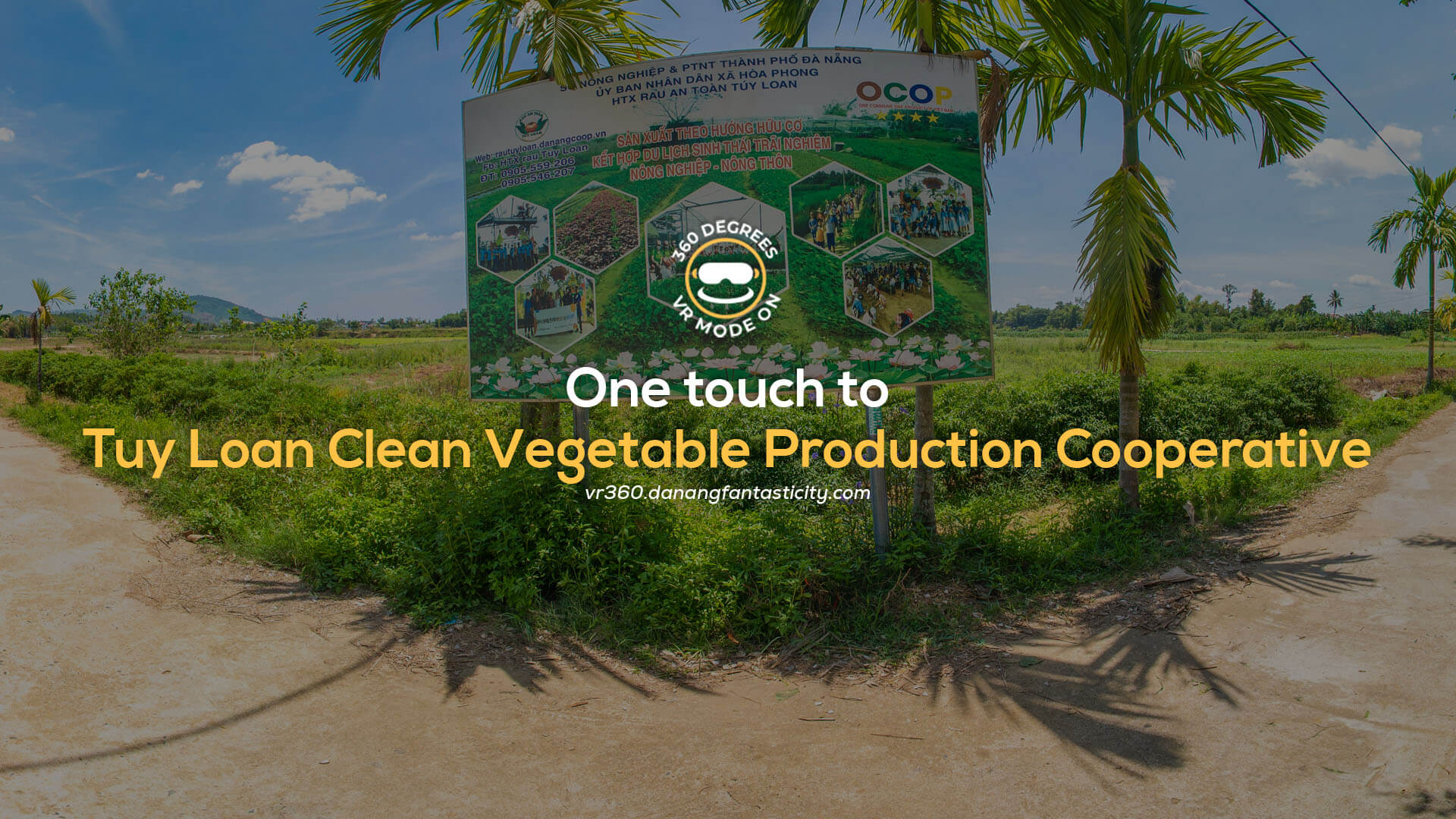 Tuy Loan Clean Vegetable Production Cooperative