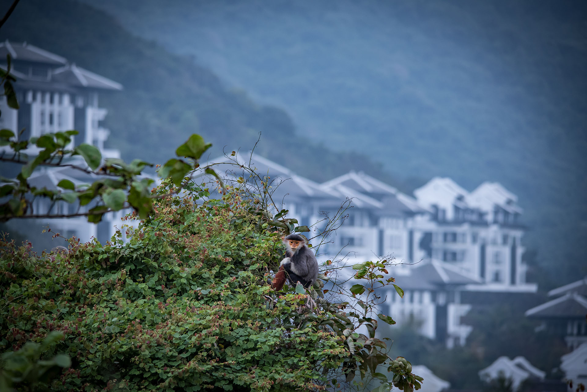 Da Nang Duoc Truyen Thong Quoc Te Goi La Diem Nong Du Lich Mice 03