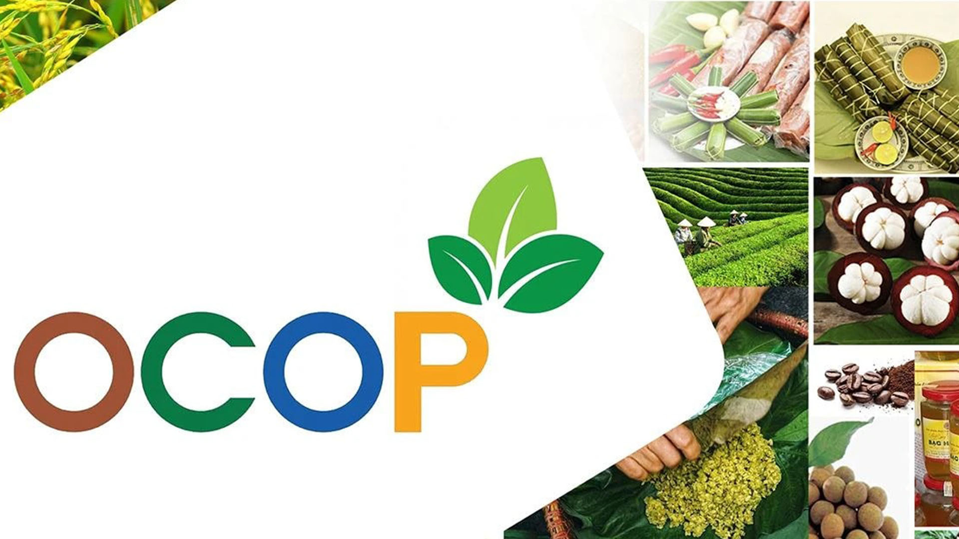 Thúc đẩy tiêu dùng số, nâng tầm kỹ năng số cho người dân và doanh nghiệp