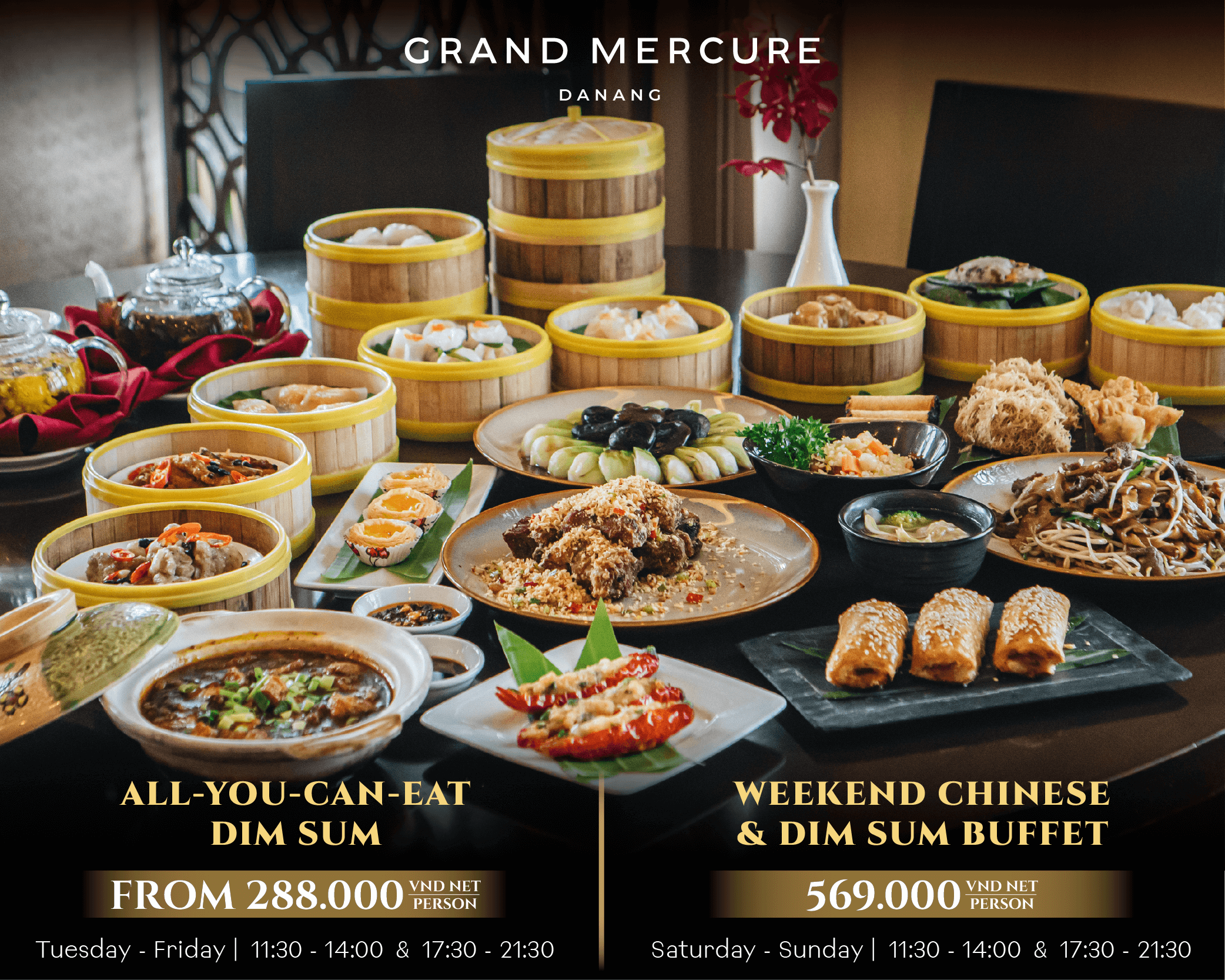 Banner Ad VN 1-1