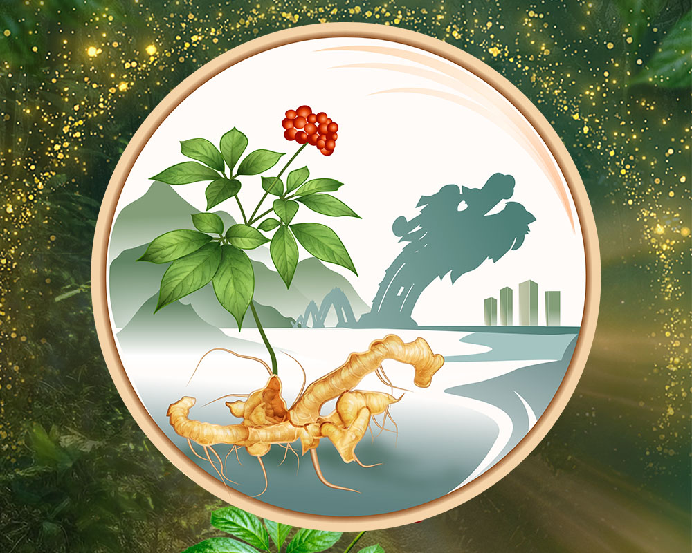 Banner Ad VN 2-1