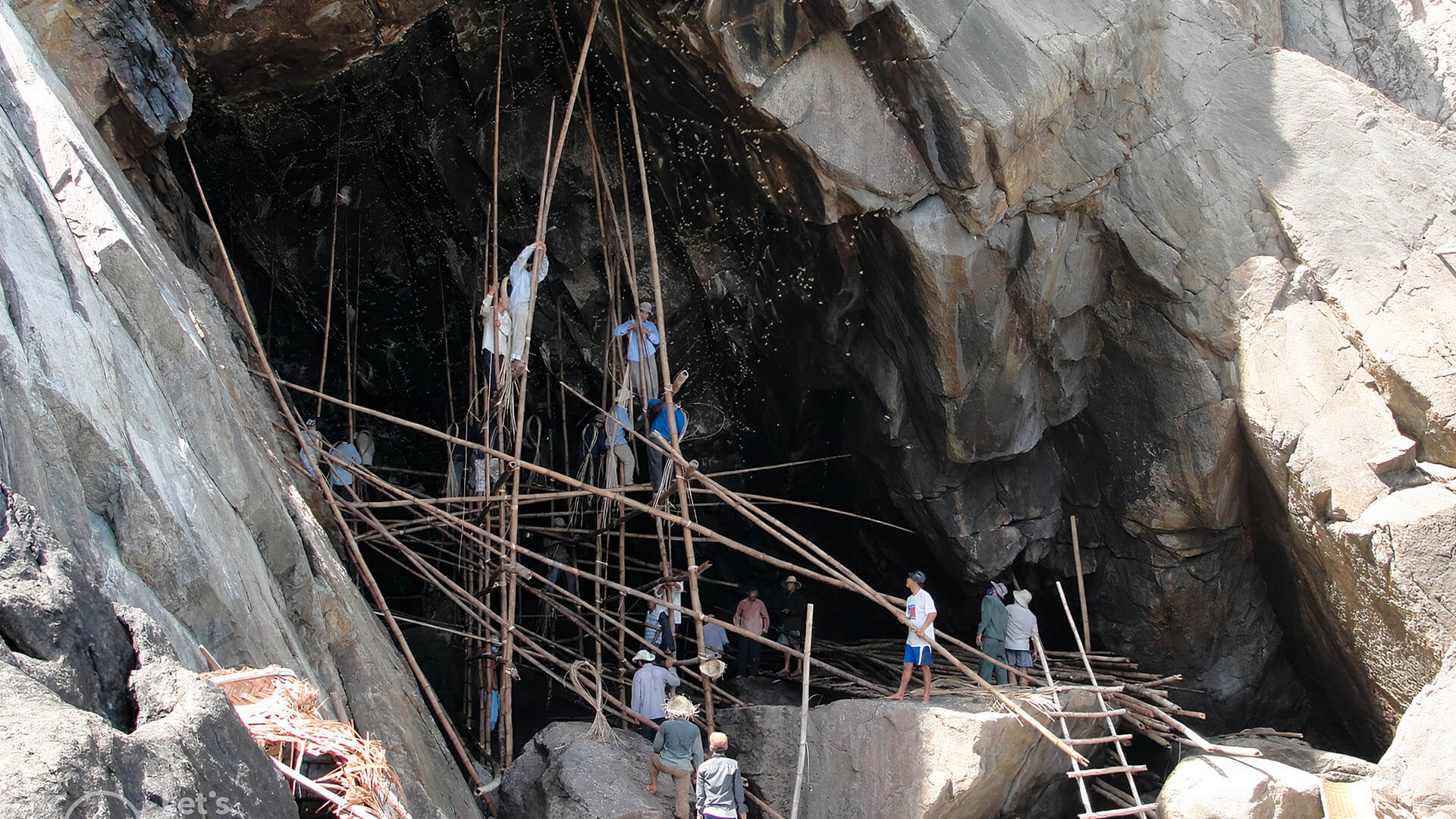 Nghề Khai thác yến sào Thanh Châu – Hội An