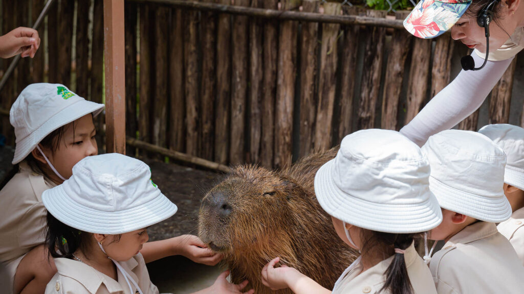 VinWonders Nam Hội An Đà Nẵng - capybara