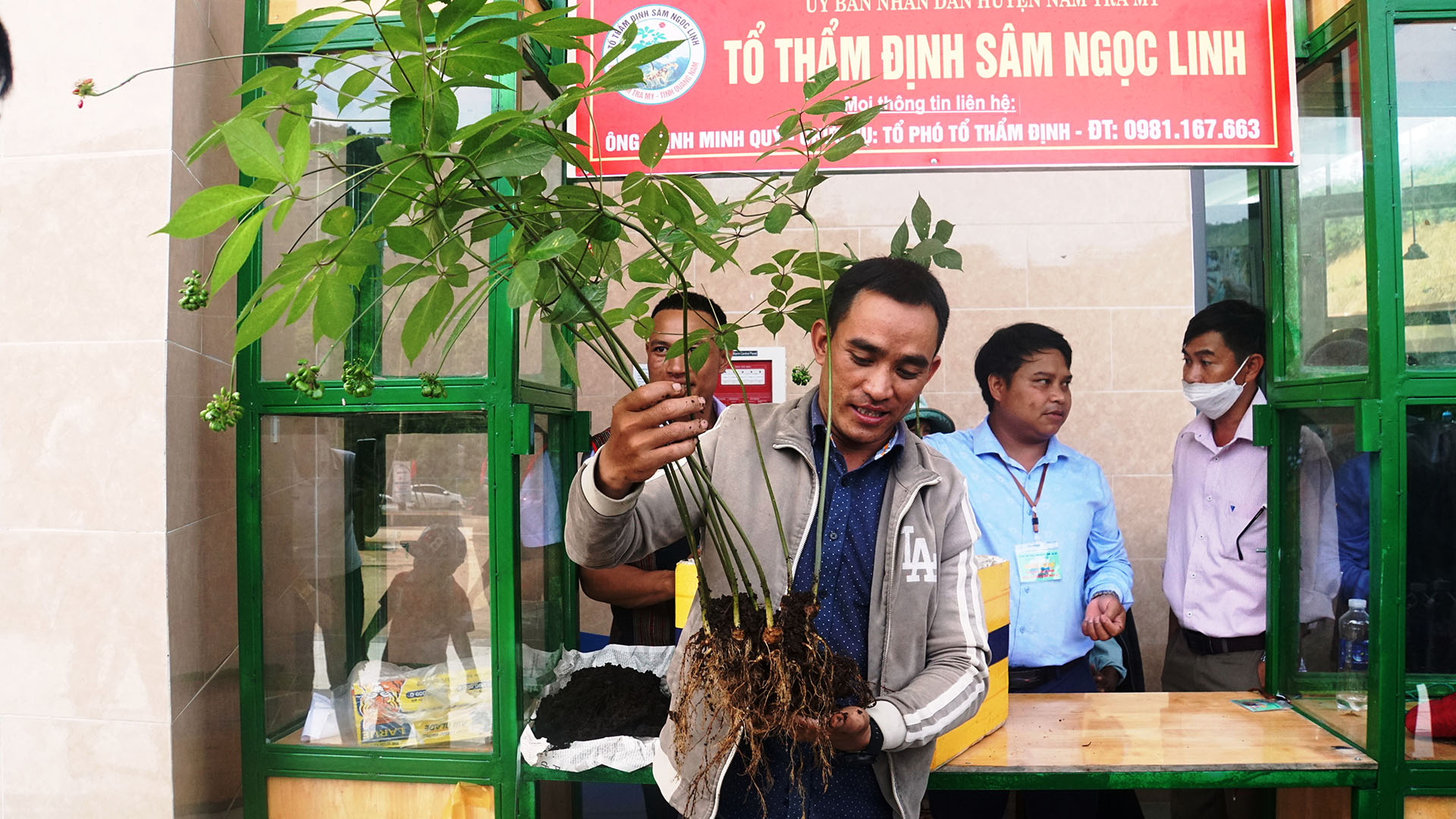 Phát triển Trà Linh thành vùng dược liệu trọng điểm của miền Trung