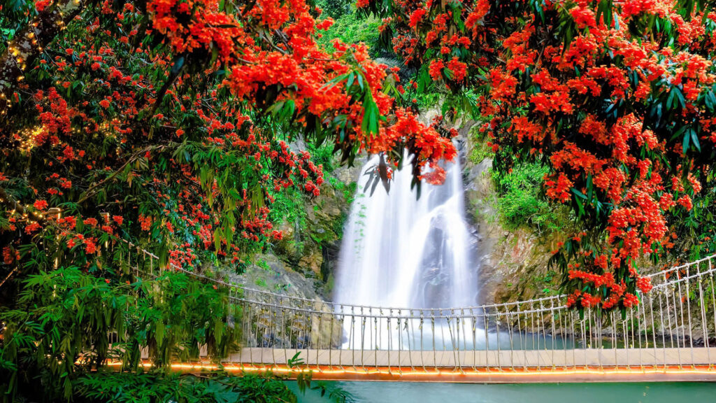 Người Đà Nẵng ăn Tết 6