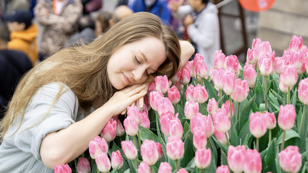 The 2026 Binh Ngo Lunar New Year holiday 8