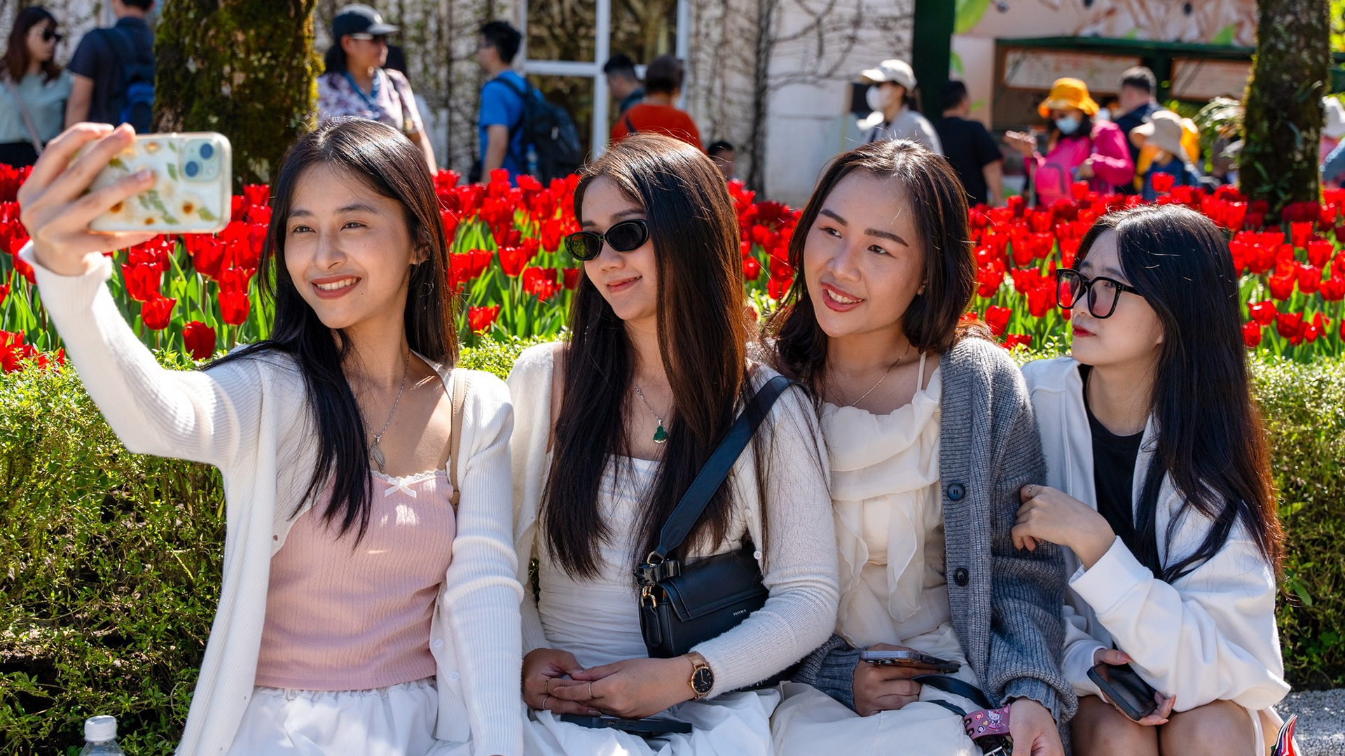 Da Nang Tops Search Rankings by Vietnamese Travelers on Agoda in 2025 7