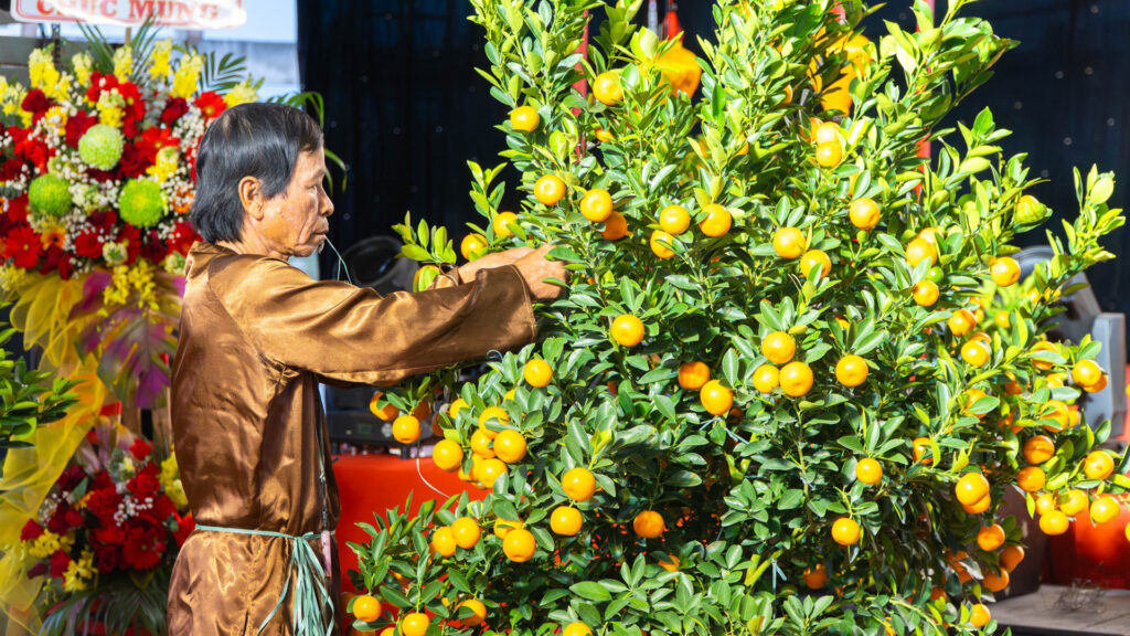 Lunar New Year in Hoi An 1