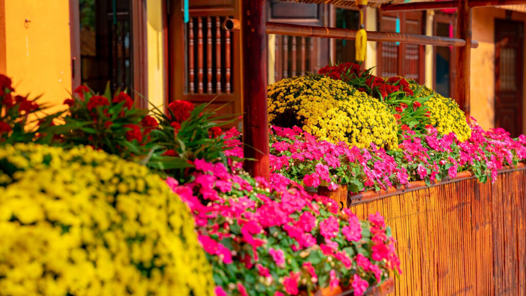 Tết chạm 5 giác quan tại Đà Nẵng 4