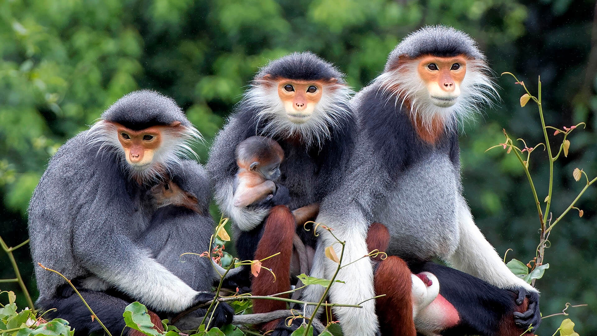 Khi nhiếp ảnh kể câu chuyện Đà Nẵng