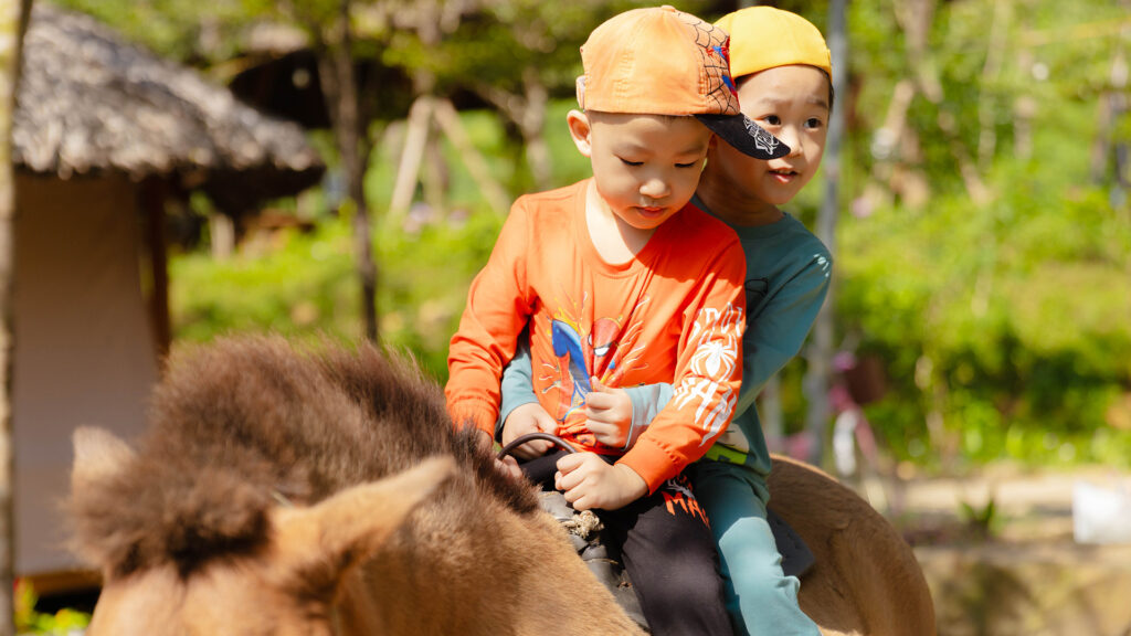 Celebrate Tet at Leaf Village 2