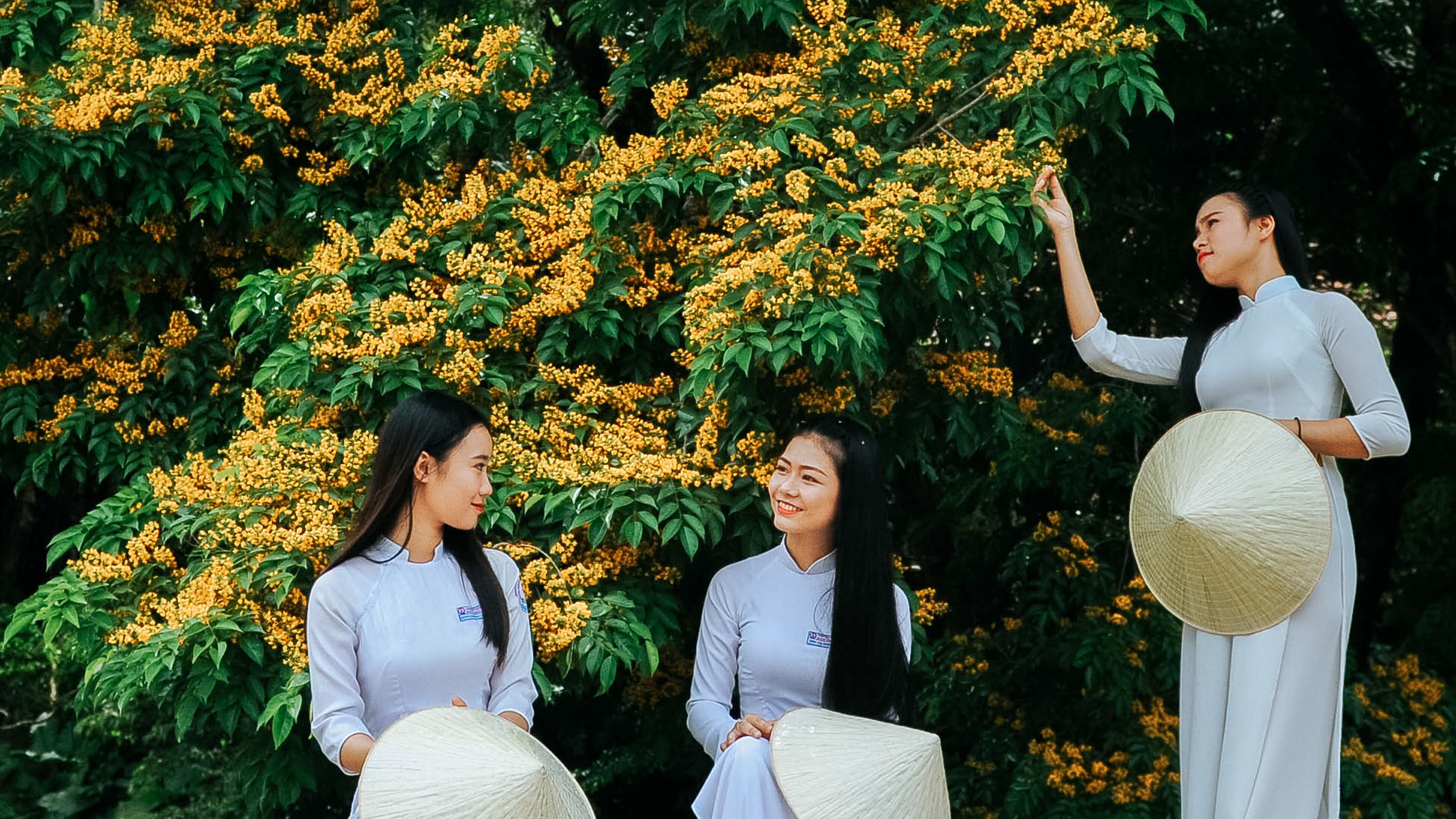 Huong Tra Communal House Festival 2026 – Touching the original spring along the Truong Giang River