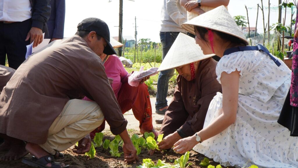 le-hoi-cau-bong-tra-que 7