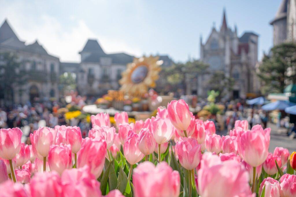 Chạm về nguyên bản 13