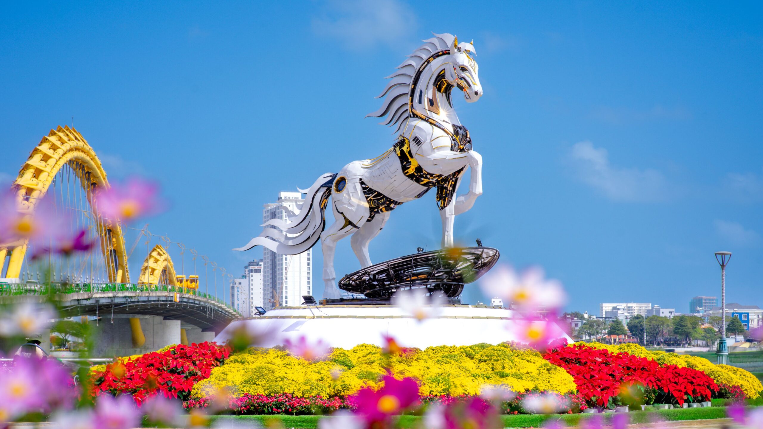 Đường hoa Tết Đà Nẵng 2026 sẵn sàng đón khách từ 14/2