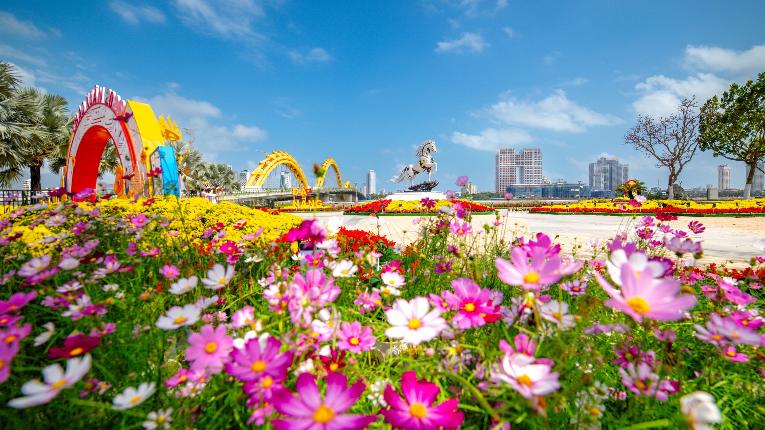 Đường hoa Đà Nẵng 2