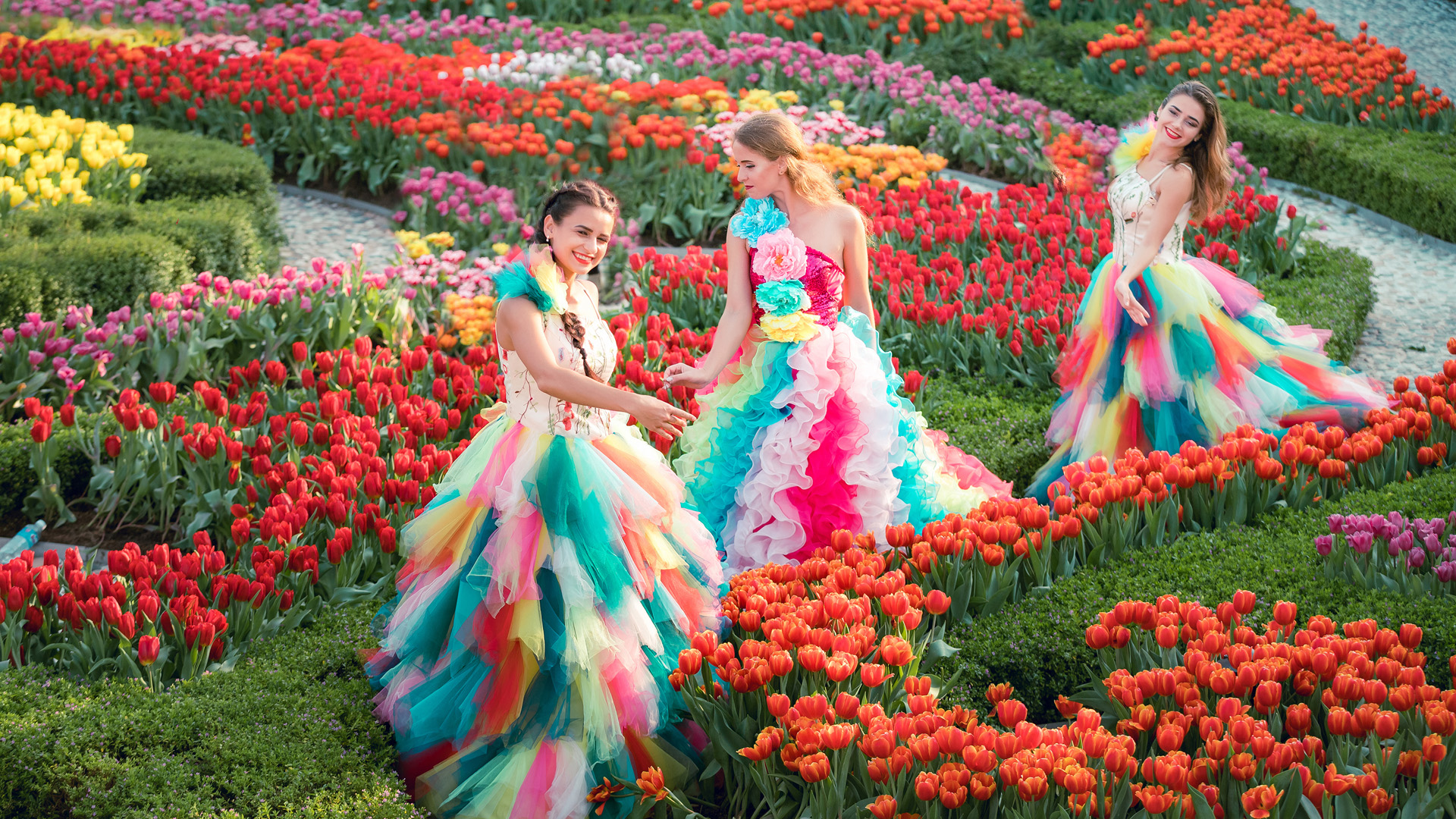 Sun World Ba Na Hills lần đầu ươm trồng 1 triệu tulip trên đỉnh núi đón Tết Nguyên đán 2026