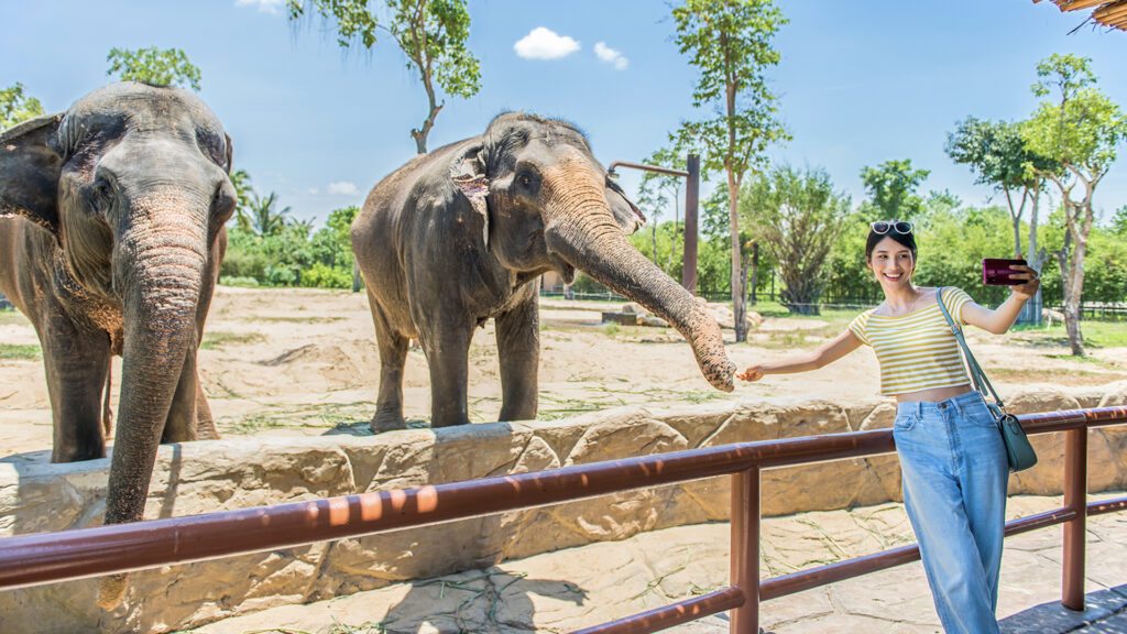 Đặc quyền người địa phương – Ưu đãi đến 50% tại VinWonders Nam Hội An: Hành trình chạm mọi giác quan giữa miền di sản