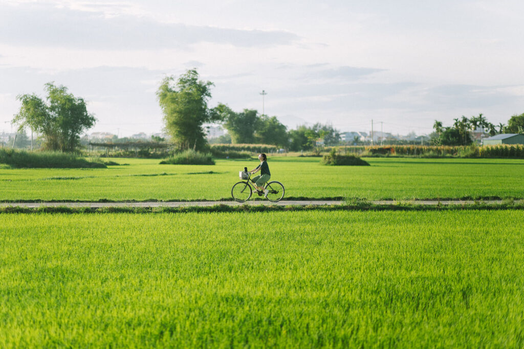 Khám phá Hội An bằng xe đạp