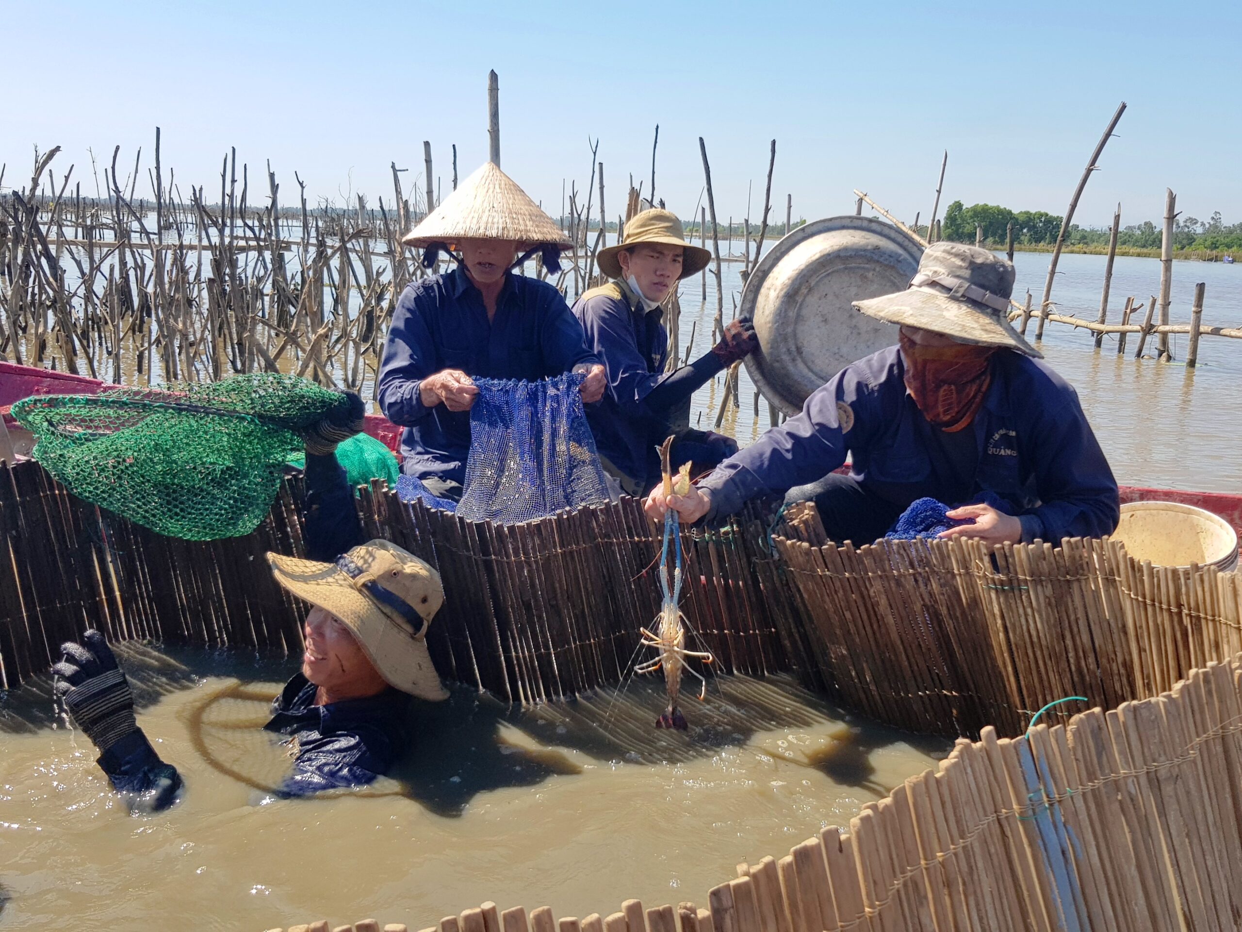 Nâng chuỗi hoạt động “Quảng Phú- Sắc màu mùa hè” lên cấp thành phố từ năm 2027